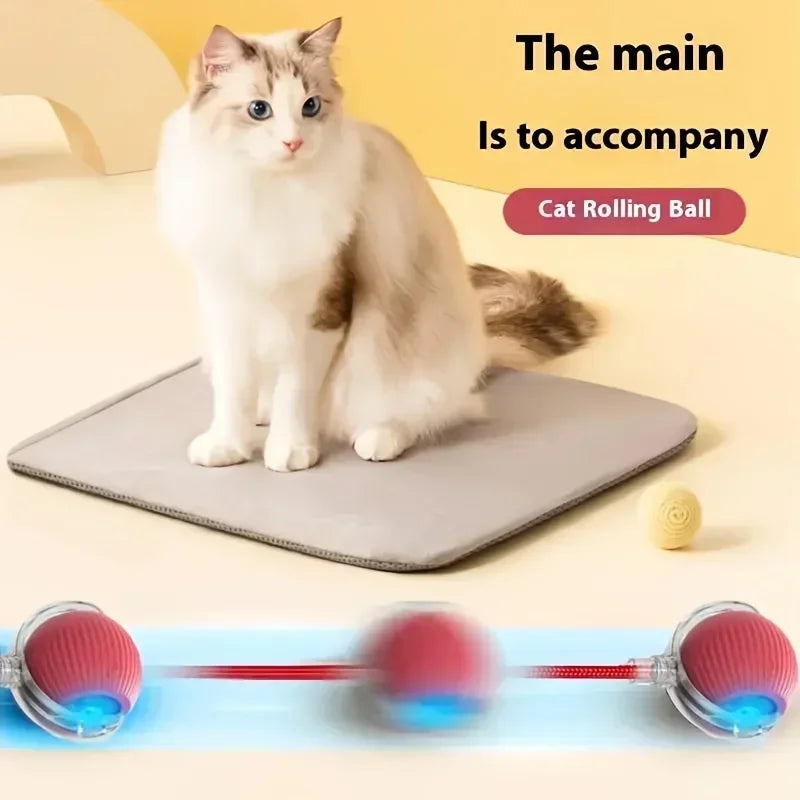 Interactive Rolling Ball for Cats