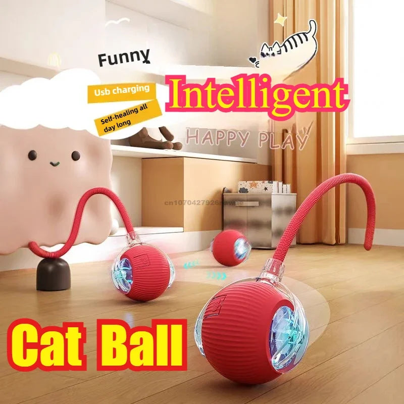 Interactive Rolling Ball for Cats