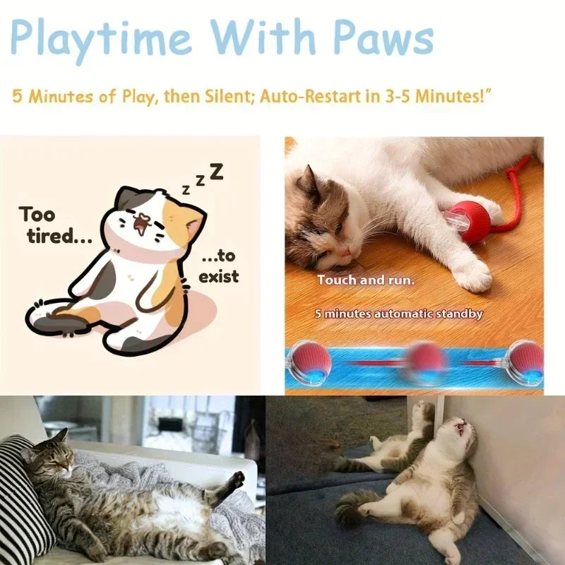 Interactive Rolling Ball for Cats