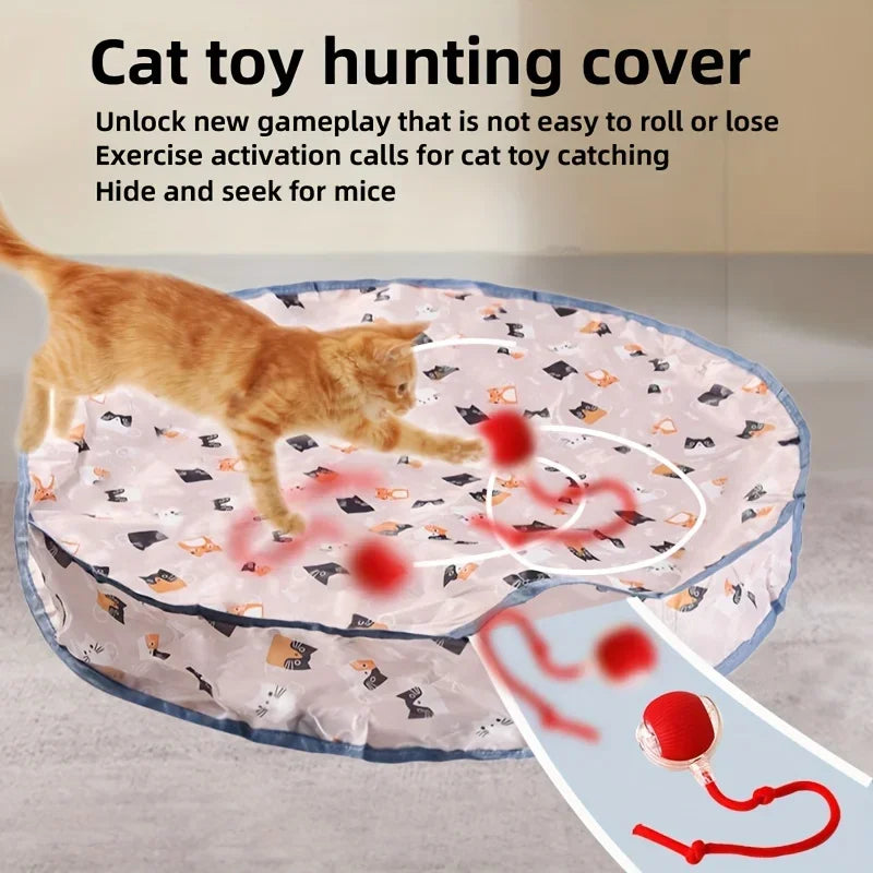 Interactive Rolling Ball for Cats