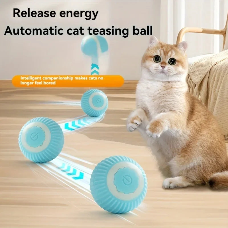 Interactive Rolling Ball for Cats