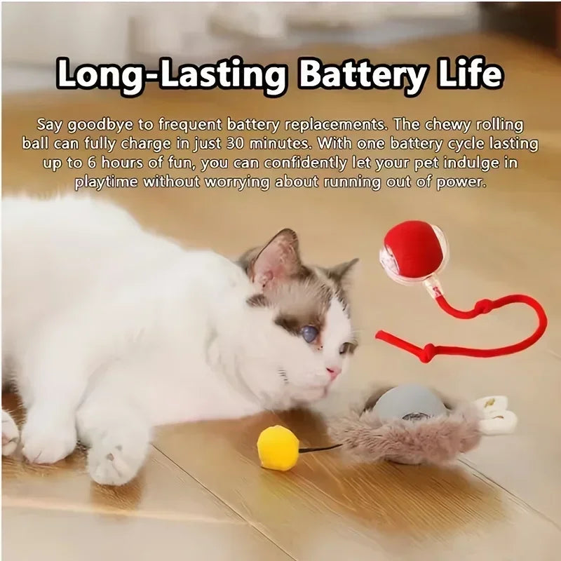 Interactive Rolling Ball for Cats