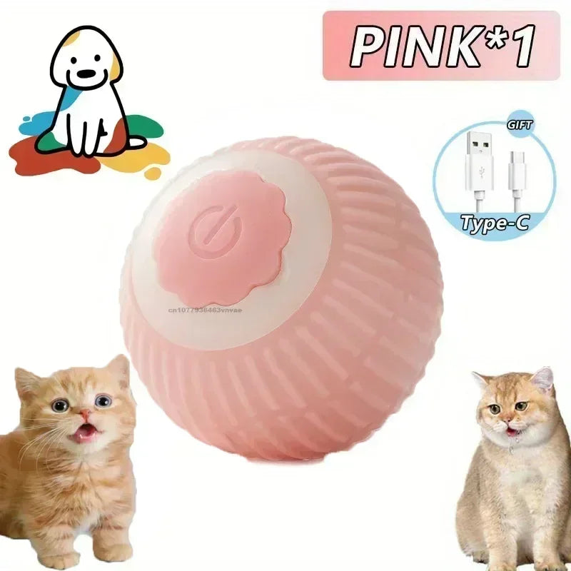 Interactive Rolling Ball for Cats