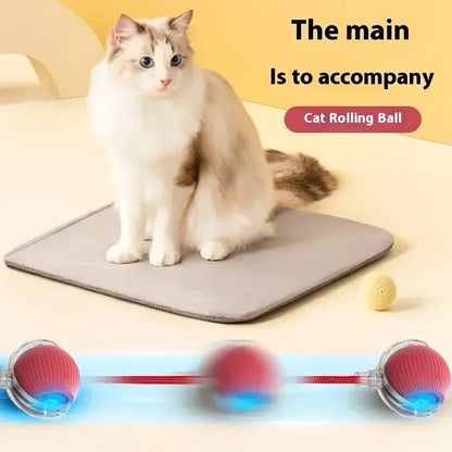 Interactive Rolling Ball for Cats
