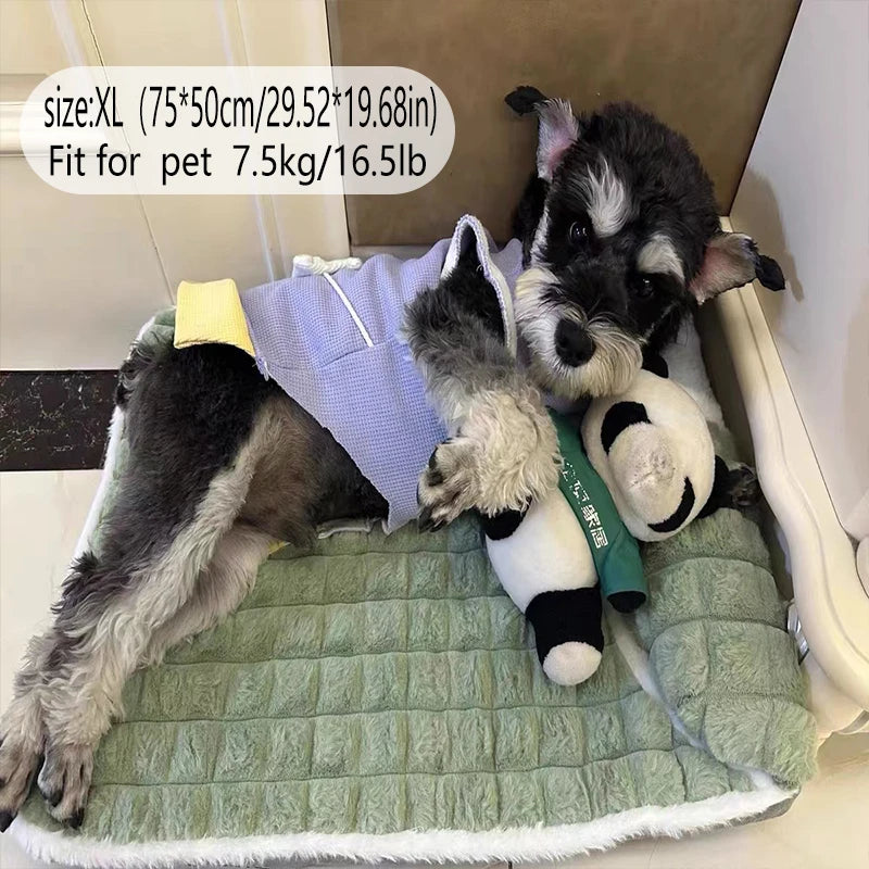 Versatile dog mat, removable, washable, year-round comfort.